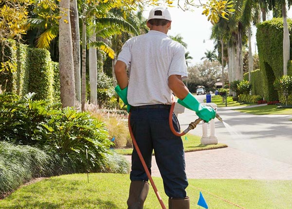 About Franklin KS Pest Control